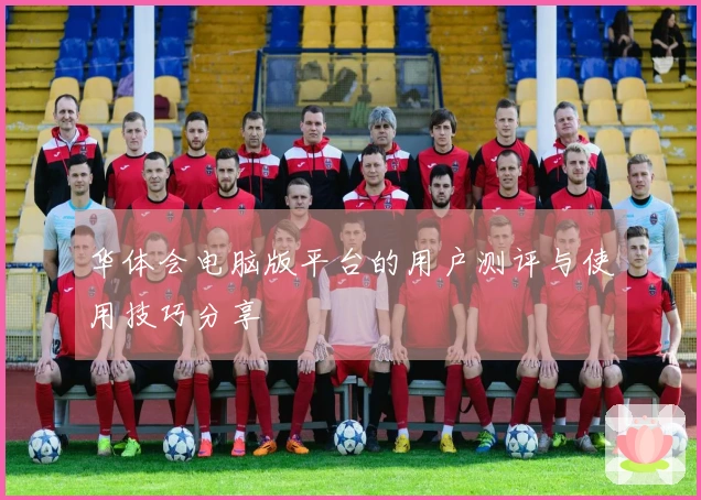 华体会电脑版平台的用户测评与使用技巧分享